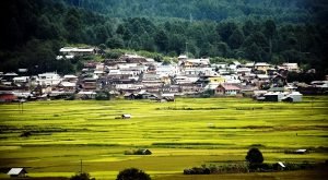 ZIRO- the place of Apatani Tribe in Arunachal