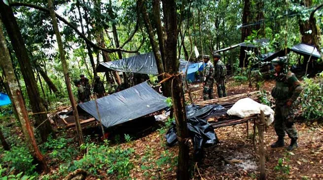 Army Busted NDFB(S) Camp, Killed Terrorist