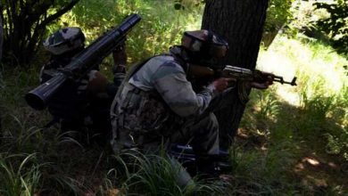 India Army Gunned Down Four Terrorist, Lost one Havaldar in Naugam Sector