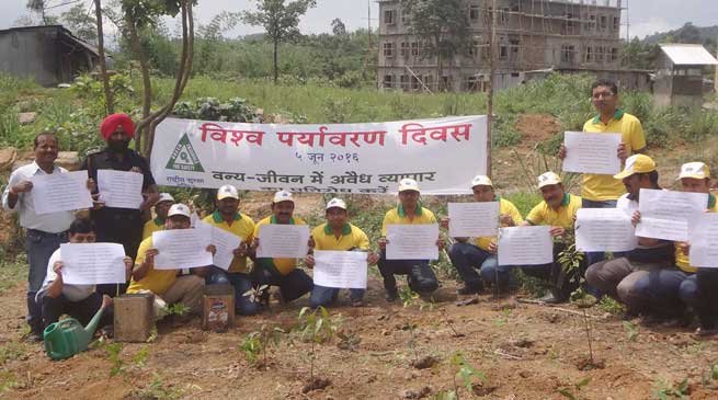 Max Cement Celebrates World Environment Day