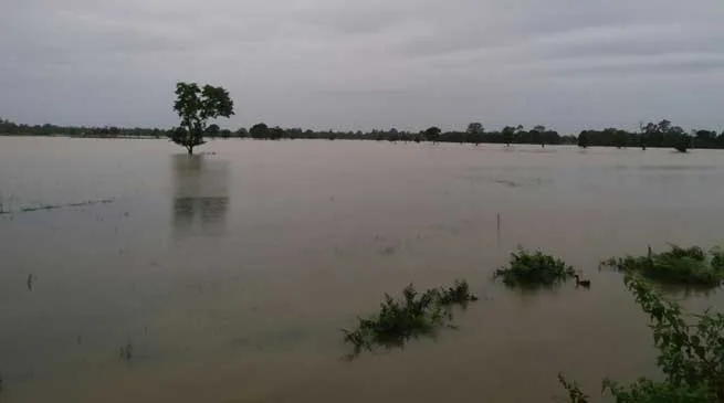 CM Pema Khandu Takes Note of Flood Situation in Arunachal