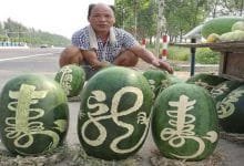 Chinese Fruit Vendor Finds Novel Way to Sell Watermelons