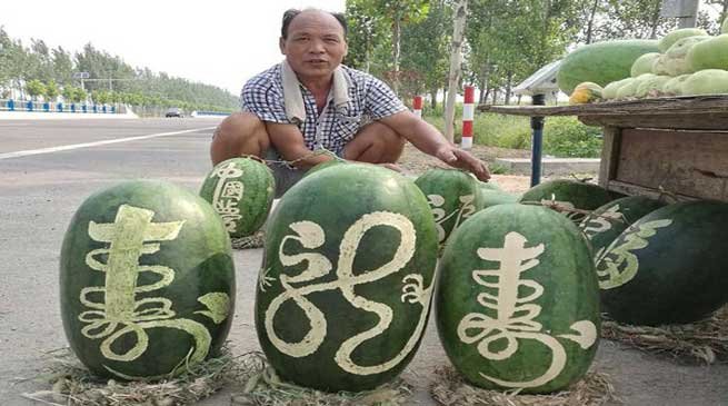 Chinese Fruit Vendor Finds Novel Way to Sell Watermelons