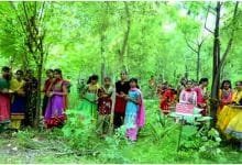 Village "Piplantri" Where 111 Trees are Planted on the Birth of Girl Child