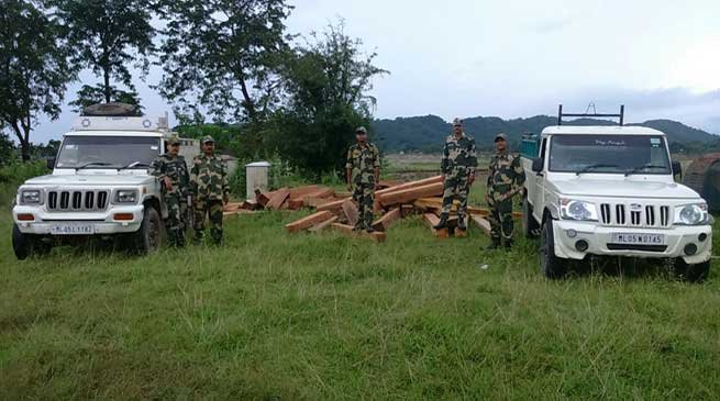 BSF Confiscates Huge Quantity of Wooden Logs with Two Pickup