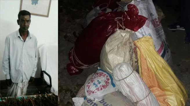 BSF Apprehends Ganja Smuggler along 91 Kg Ganja