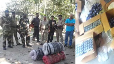 BSF Seizes 665 Bottles Phensedyl and 70 Kg Ganja in Cooch Behar