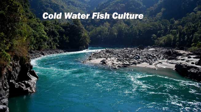 Traning Programme on Cold Water Fish Culture