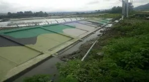 ZIRO- Boundary Wall of Advance Landing Ground Collapsed