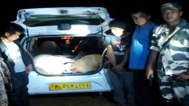 BSF nabbed two Cattle Smuggler, seized one Alto Car