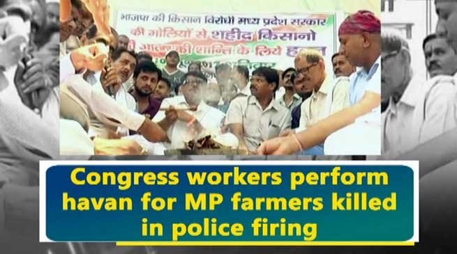 watch video- Congress workers perform havan for MP farmers killed in police firing