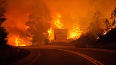 Forest Fire in Portugal kills 58 people
