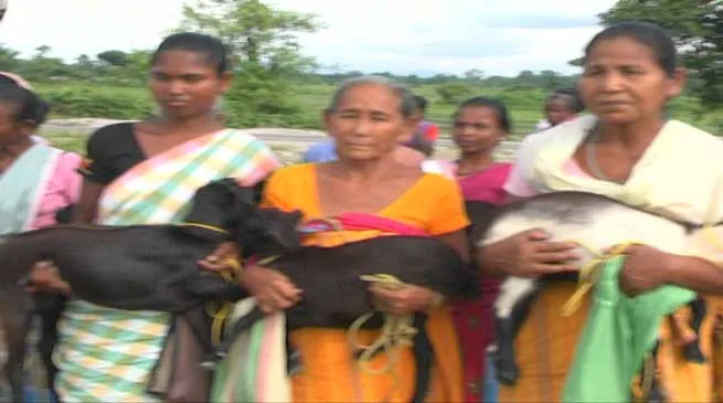 Bongaigaon Diocese Distributes goats to Widows