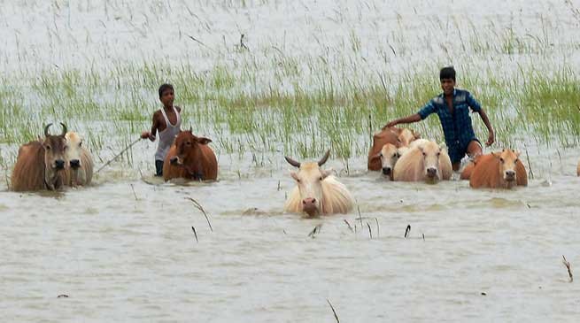 Assam floods- Death toll 40,  15 lakh people across 23 districts affected