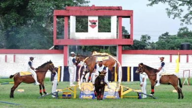 Gajraj Corps organises basic Horse Riding & Animal Management Camp