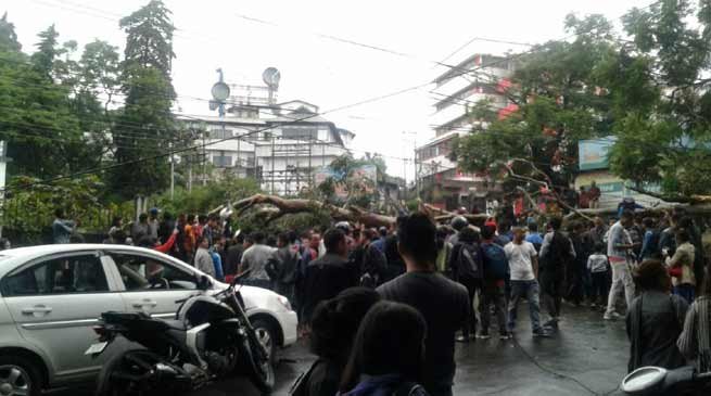 Shillong- 3 killed after eucalyptus tree was uprooted at Raj Bhavan campus