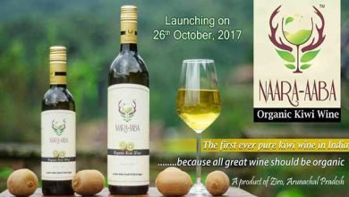 Tamiyo Taga launches the 1st Pure Organic Kiwi wine of India