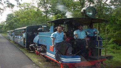 Darjeeling Himalayan Railway: Toy Train Service Resumed