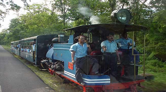 Darjeeling Himalayan Railway: Toy Train Service Resumed