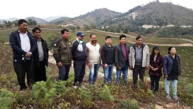Horticulture can be a bone for the state like Arunachal- Experts