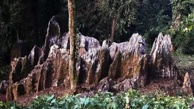 A natural Shivalingam discovered  in Arunachal's Mountain