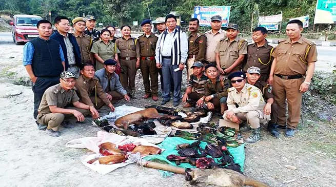 Itanagar: Forest force seized animal bodies