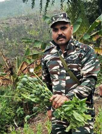 Arunachal: Poppy plantation destroys in Longding
