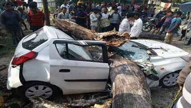Arunachal : Tragic Road accident, Big tree fell down on a Car