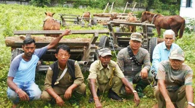 Arunachal: DFO Lohit seized huge quantity of Khair wood