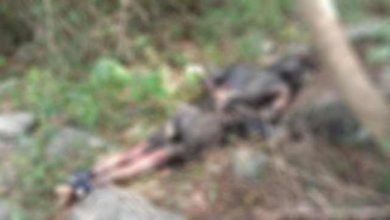 Arunachal: Decomposed dead body found