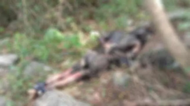 Arunachal: Decomposed dead body found