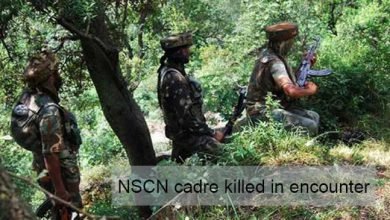 Arunachal:  NSCN cadre killed in encounter