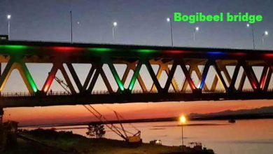Assam: Bogibeel bridge fulfilling a long cherished dream  