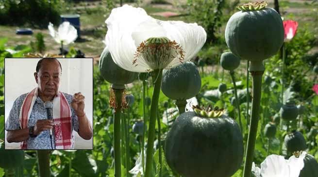 Arunachal: Opium effecting our youth and tribe as whole- CT Mein