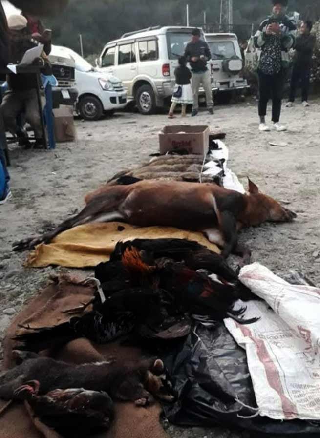 Arunachal: Forest officials  confiscate wildlife meat
