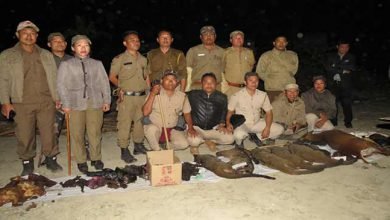 Arunachal: Forest officials seize huge quantities of bodies of wild animals
