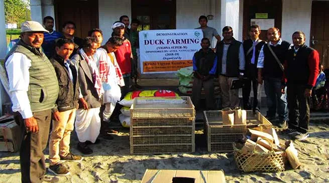 Arunachal: Training on Scientific Poultry and Duck farming