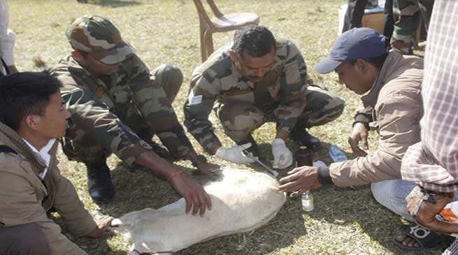 Arunachal:  Army Organises Veterinary camp in Namsai