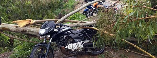 Arunachal: Storm lashes Changlang and Longding district, power supply disrupted