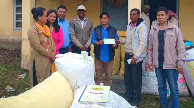 Arunachal: Thriving Stevia rays of hope for opium grower in Lohit