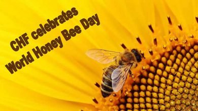 Arunachal: CHF celebrates World Honey Bee Day