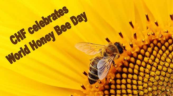 Arunachal: CHF celebrates World Honey Bee Day