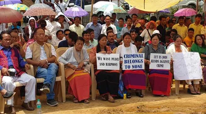 Tapir Gao's residence arson case: arrest culprit within 24 hrs- ABK