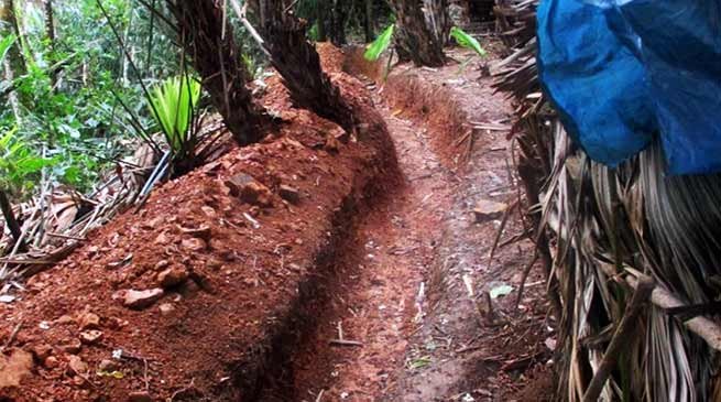 Arunachal: Changlang police, 9 Assam Rifle destroyed UG camp in Yukhi jungle
