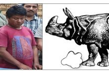 Arunachal: Capital police nab one Rhino Poaching "middleman"