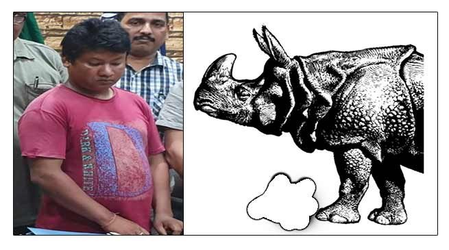 Arunachal: Capital police nab one Rhino Poaching "middleman"