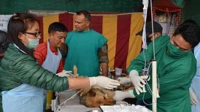 Arunachal: ABC and ARV camp held at Gyangkhar village