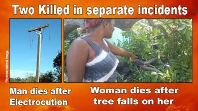 Arunachal: Man electrocuted in Chimpu, woman dies after tree falls on her