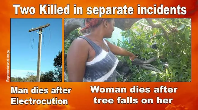 Arunachal: Man electrocuted in Chimpu, woman dies after tree falls on her