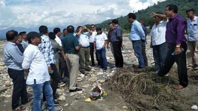 Arunachal: Experts team visits Flood Protection Work site at Seijosa